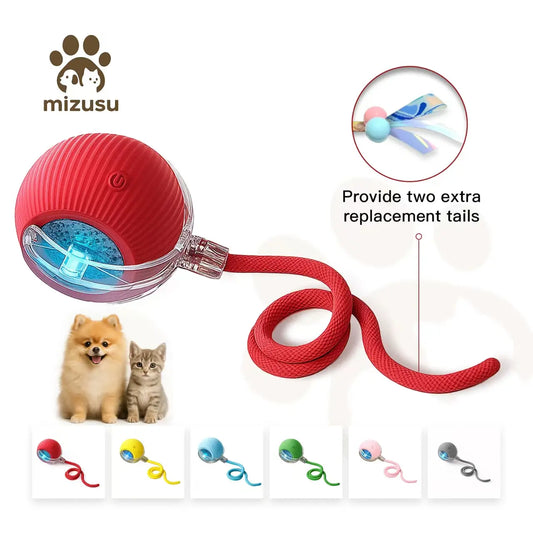 Interactive Cat & Dog Teaser Toy with Two Additional Tails, Kitten Rolling Ball Toy, Pet Supplies, Dog & Cat Accessories Cute dog toys